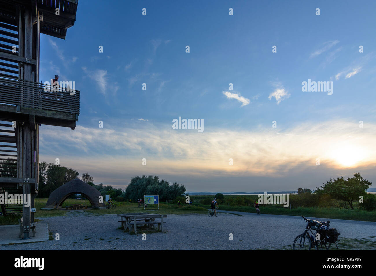 Illmitz : tour d'observation Hölle, cycliste, le lac de Neusiedl, Neusiedler See, Autriche, Burgenland, parc national de Neusiedler See (Lak Banque D'Images