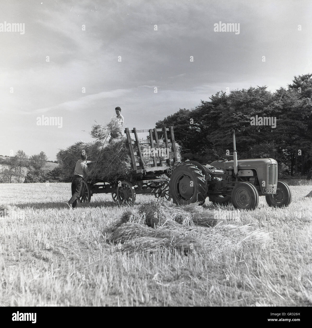 Années 1950, historique, un agriculteur de recueillir des ballots de foin sur le terrain et l'empilant sur une charrette attelée à un tracteur, avec un autre agriculteur aidant. Banque D'Images