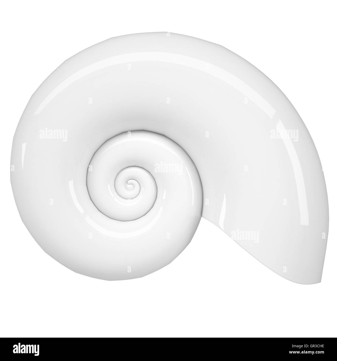Shell spirale blanc Banque D'Images
