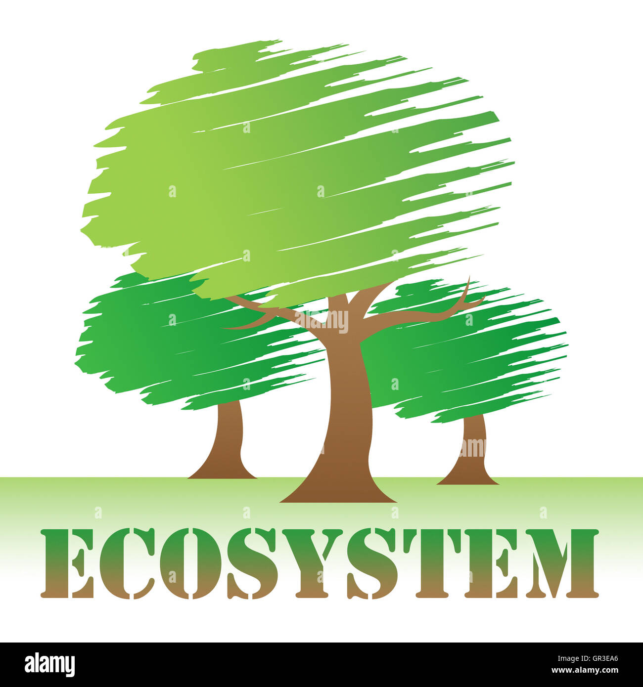 Arbres Représentant de l'écosystème de la cime des arbres et l'écologie Woods Banque D'Images