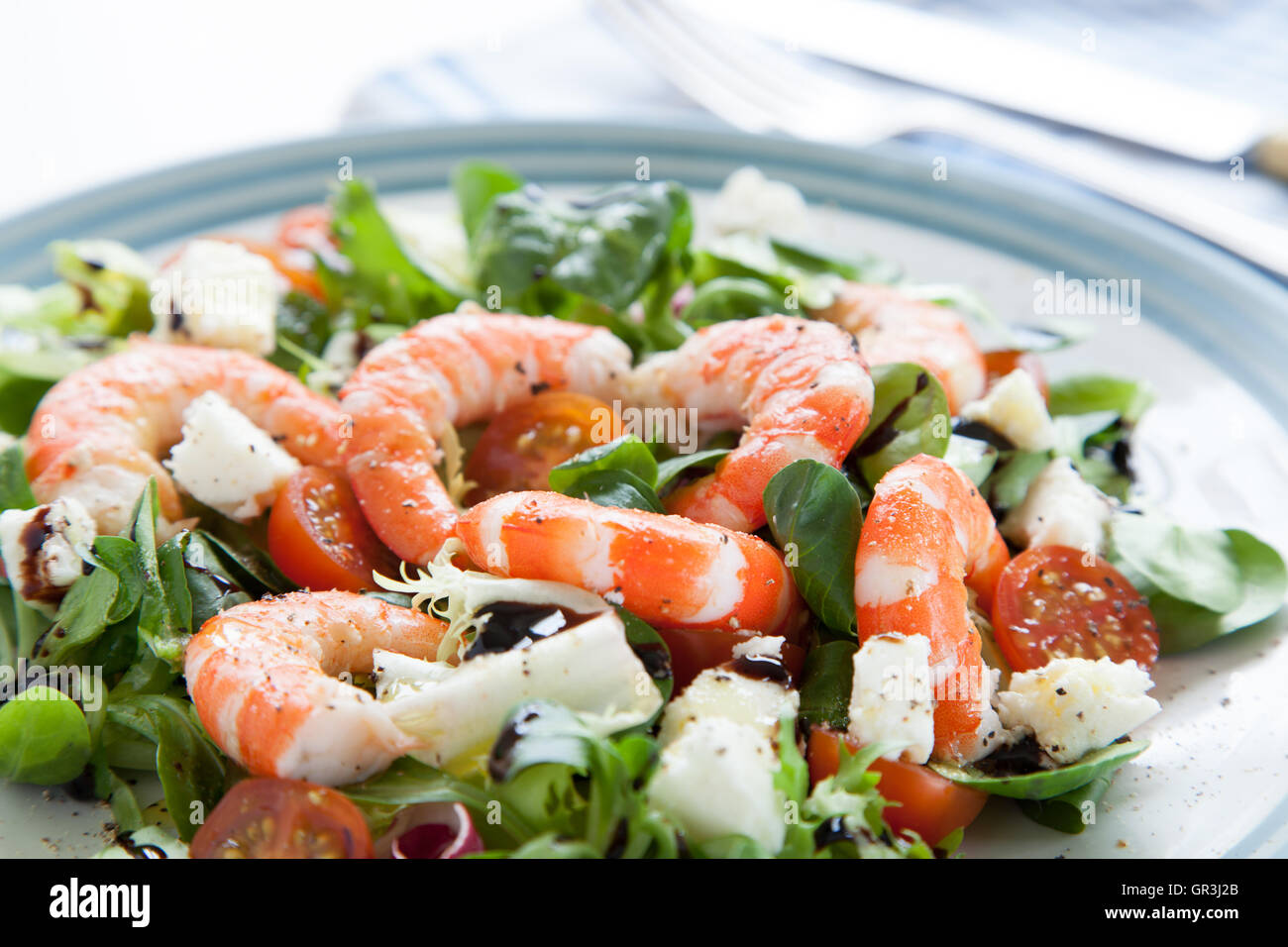 Salade de crevettes Banque D'Images