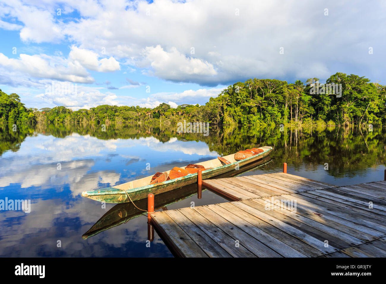 Canoë sur la lagune Garzacocha dans la forêt tropicale amazonienne au Lodge la Selva sur la rivière Napo, Équateur, Amérique du Sud par une journée calme et ensoleillée Banque D'Images