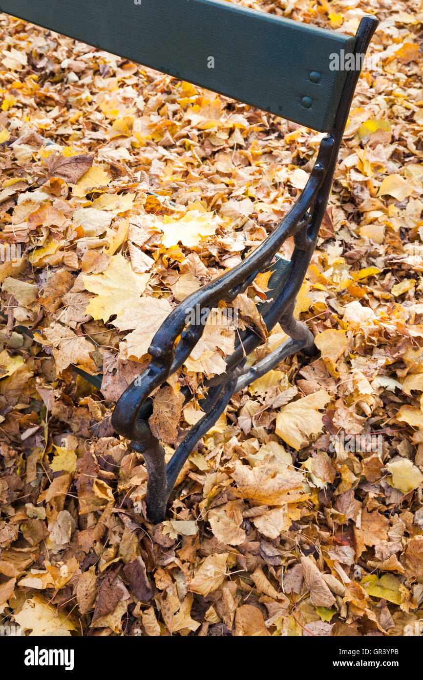 Vieux banc de parc avec des feuilles d'automne jaune, photo verticale Banque D'Images