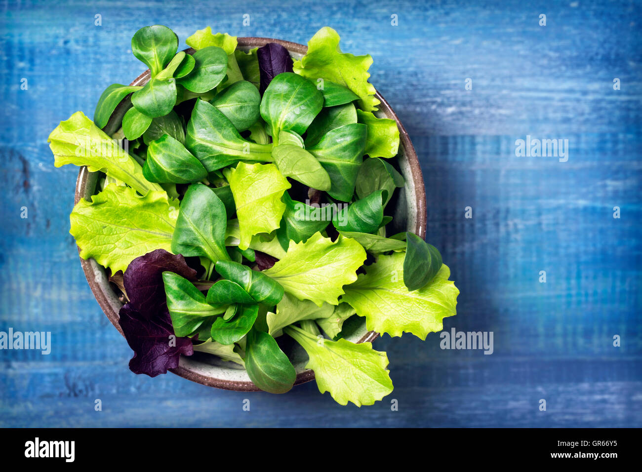 Feuilles de salade verte dans un bol sur un fond bleu Banque D'Images