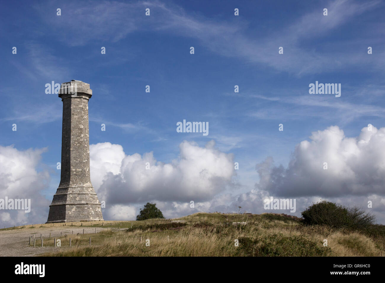 Le Monument à Hardy au bas noir près du village de Portesham de Dorset, en mémoire du vice-amiral sir Thomas Masterman Hardy, Banque D'Images