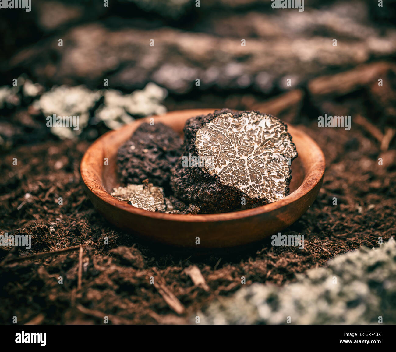 Chers champignons truffe noire rare Banque D'Images