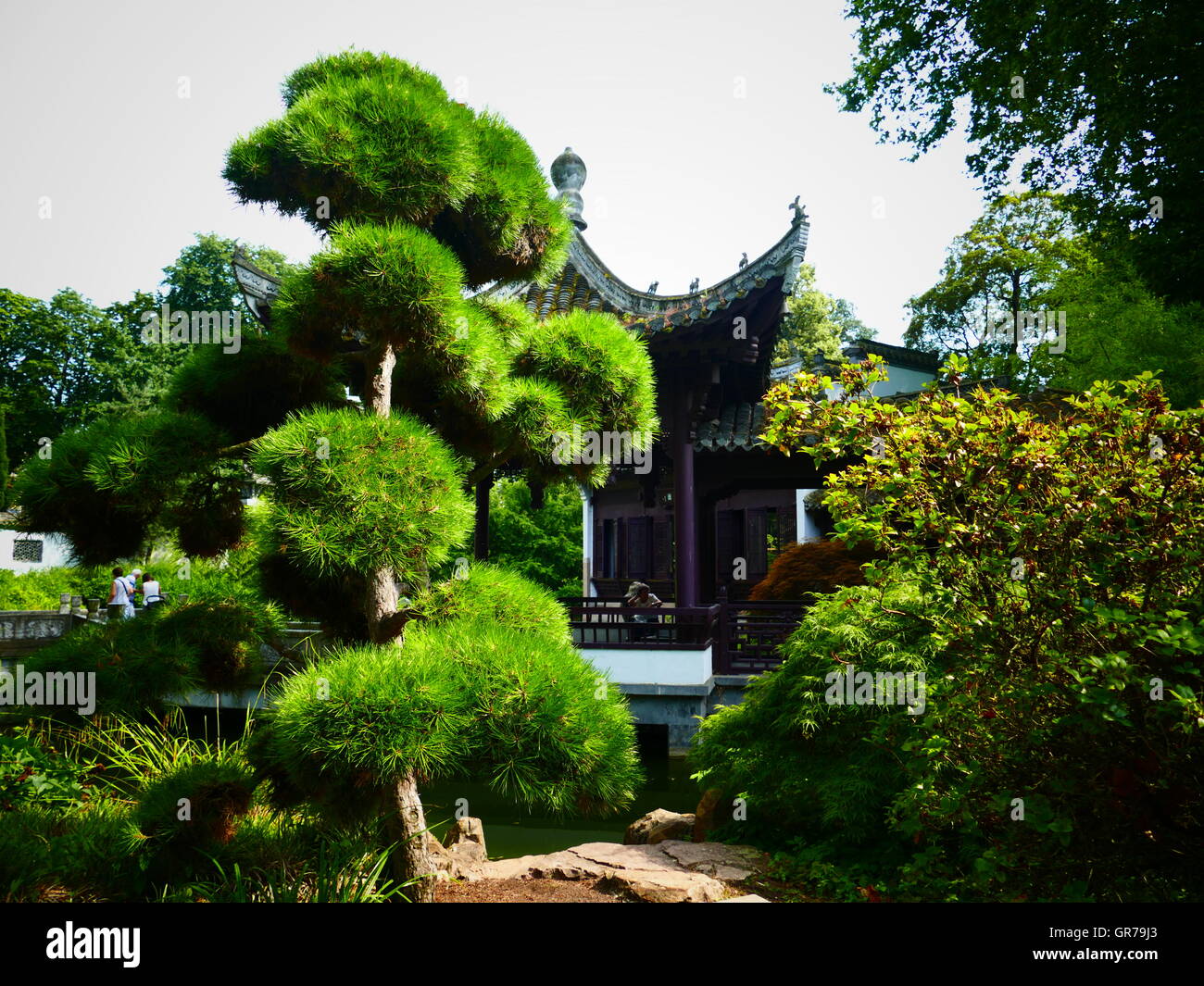 Jardin Chinois traditionnel en ville financière Frankfurt am Main Allemagne Europe Banque D'Images