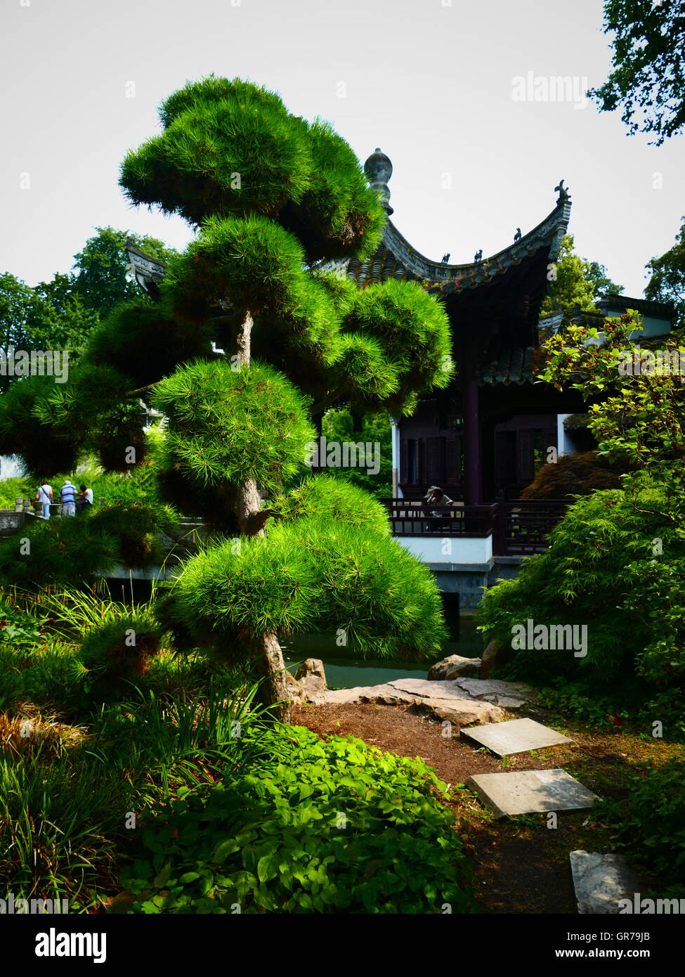 Jardin Chinois traditionnel en ville financière Frankfurt am Main Allemagne Europe Banque D'Images