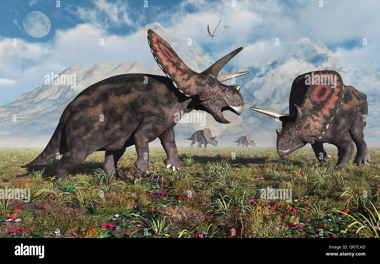 Torosaurus dinosaures herbivores. Banque D'Images