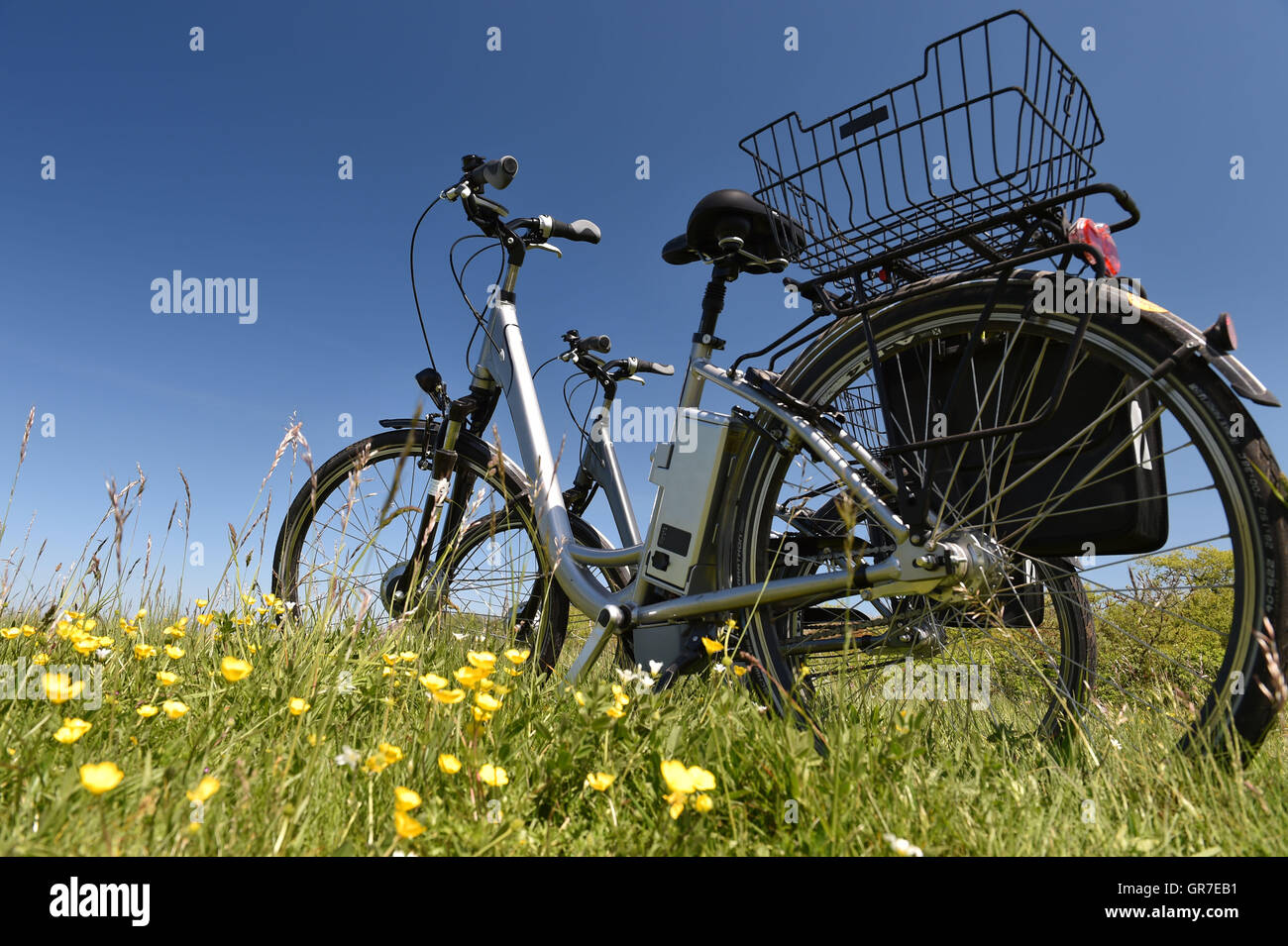 Vélos dans l'herbe Banque D'Images