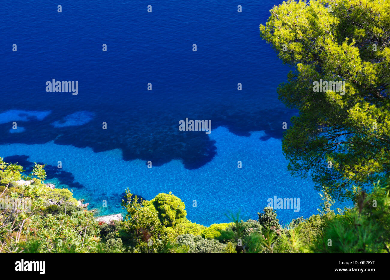 Arrière-plan de la nature, de la mer et forêt de pins verts, Dalmatie, Croatie Banque D'Images