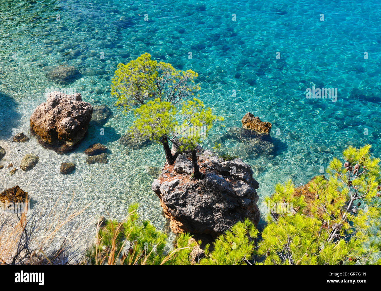 Arrière-plan de la nature, de la mer, des rochers et de pins Banque D'Images