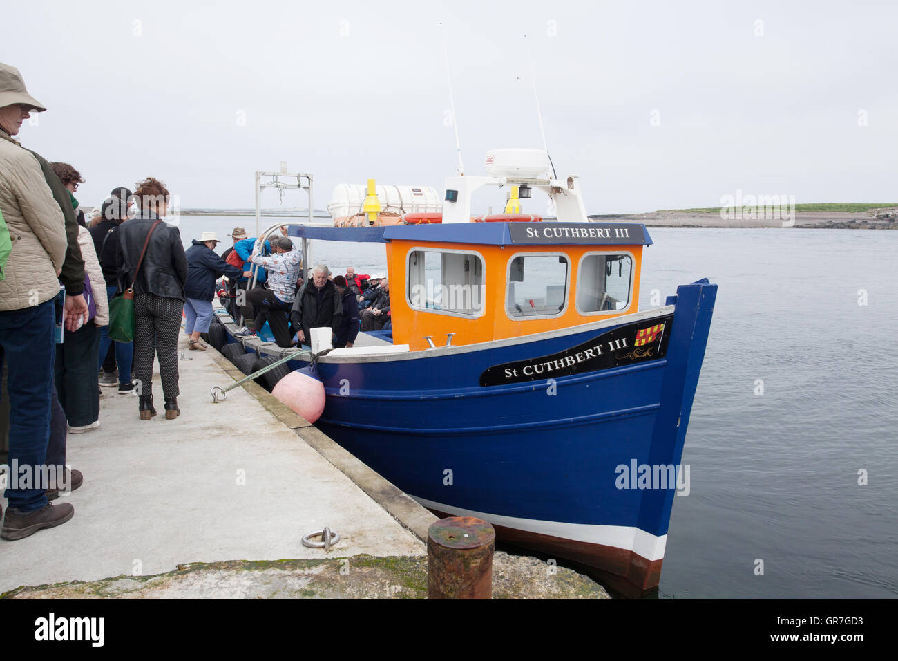 Day trippers à bord d'un bateau sur l'Iles Farne off Northumberland Seahouses Grande-bretagne Royaume-Uni Banque D'Images