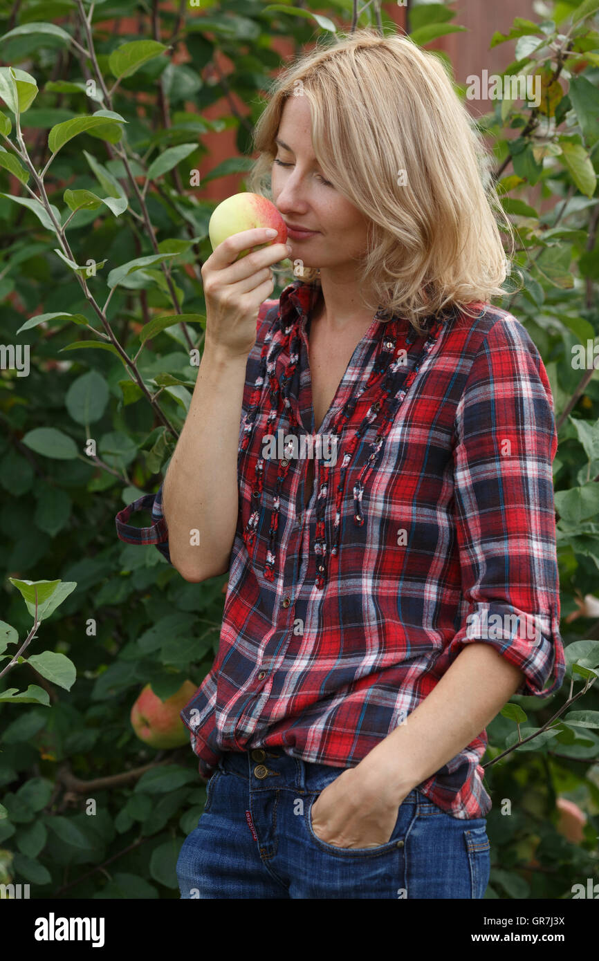 Femme inhale de l'arôme d'une pomme fraîchement cueillie. L'horticulture, la récolte, l'agriculteur local concept Banque D'Images