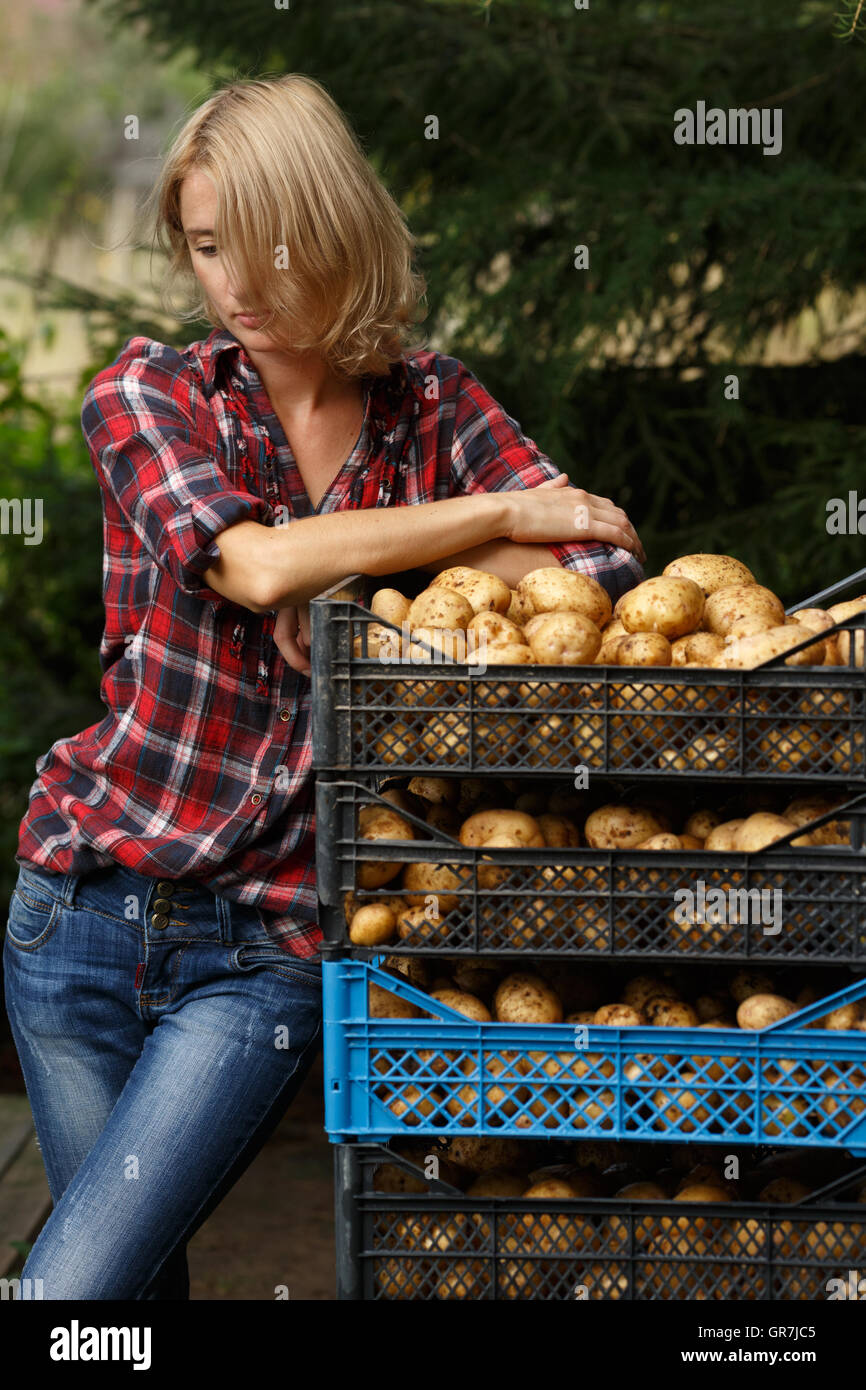 Woman leaning on a les boîtes en plastique de la pomme de terre. L'horticulture, la récolte, l'agriculteur local concept Banque D'Images