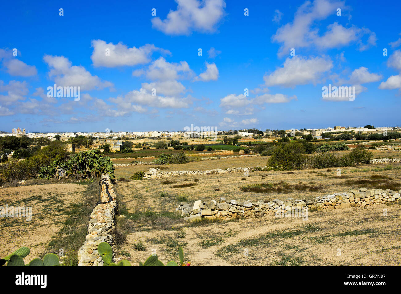 Les terres arables aux murs de pierre près de Qrendi, Malte Banque D'Images