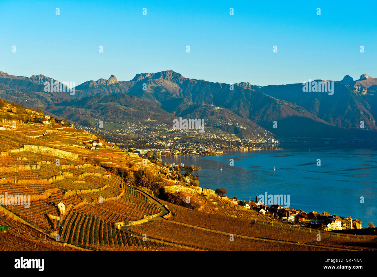 L'automne dans la Riviera Vaudoise près de Vevey au bord du lac de Genève, Vaud, Suisse Banque D'Images