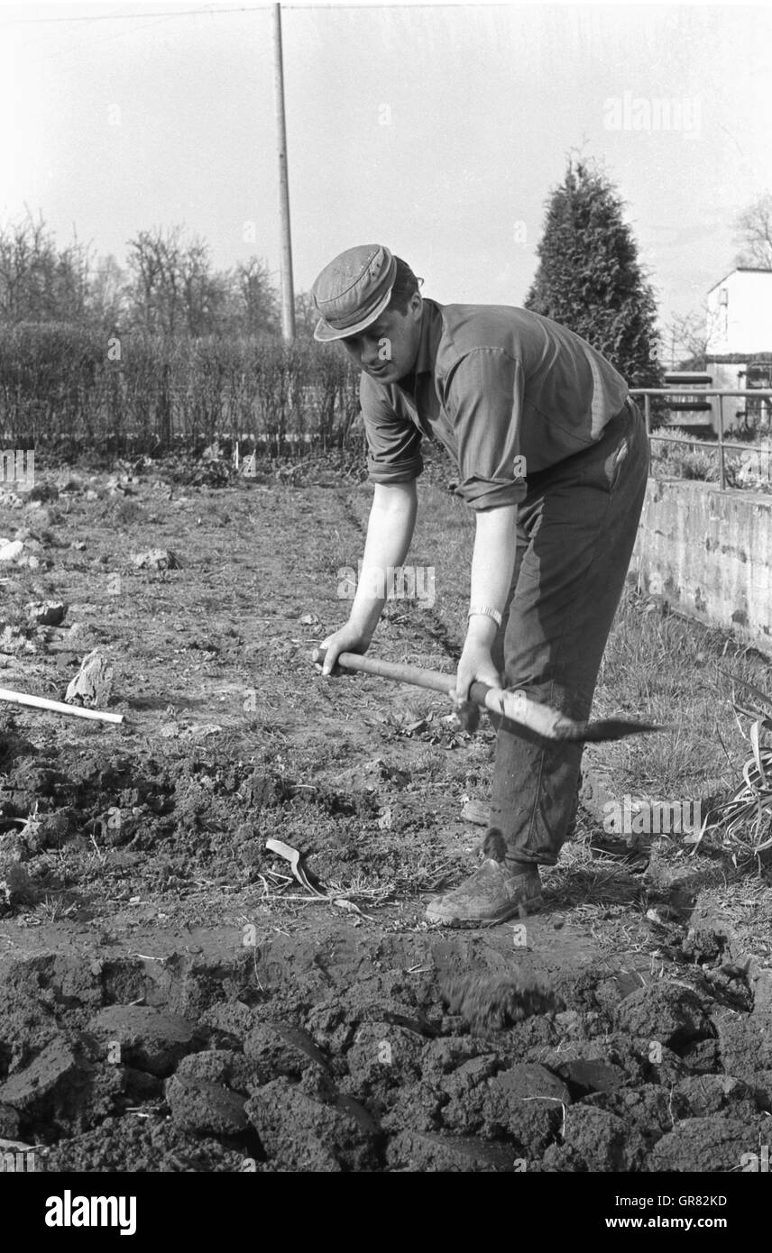 Jardinage 1970 P.C. Banque D'Images