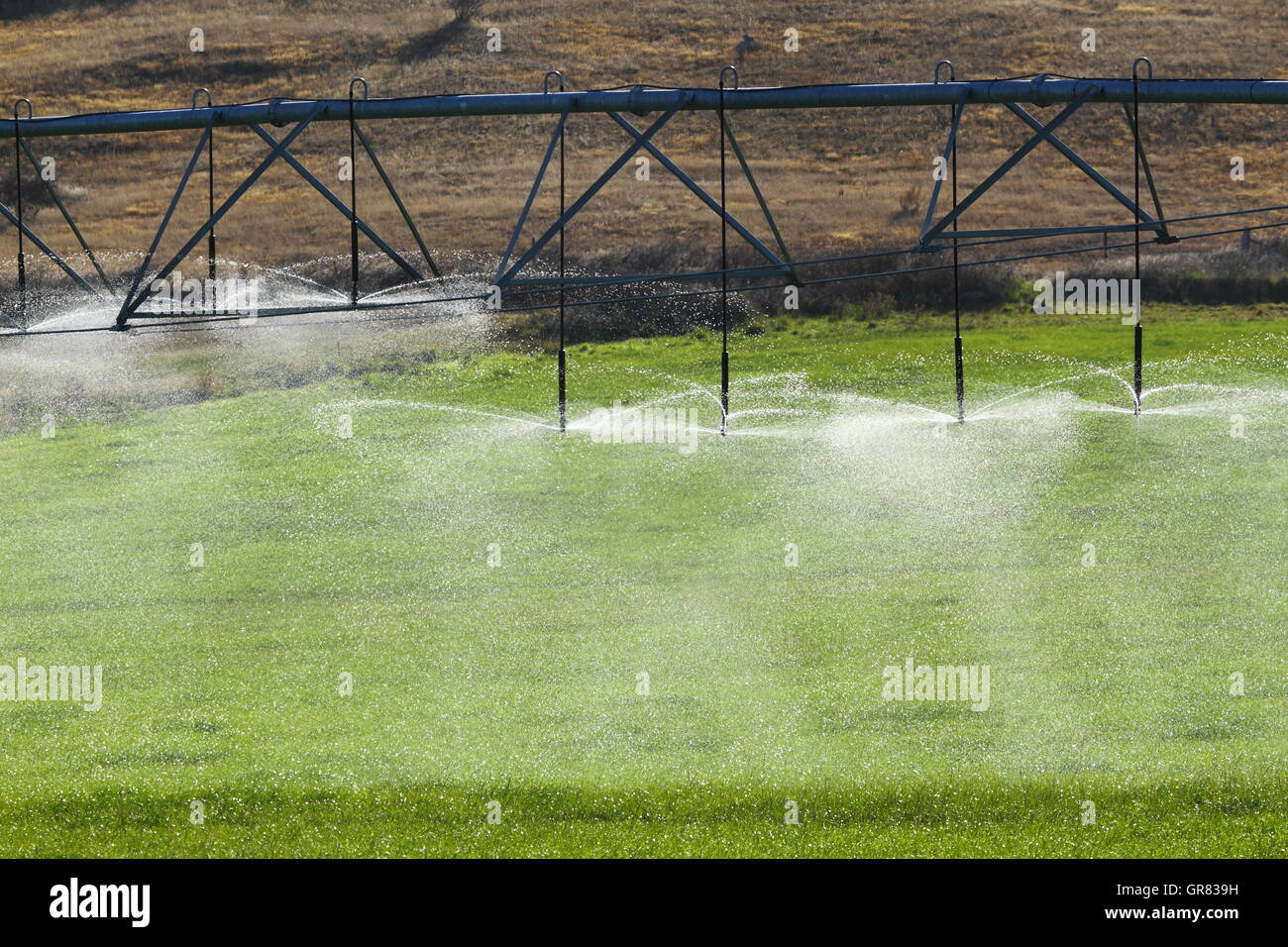 Un système d'irrigation à pivot d'arroser une récolte en Ouse, Tasmanie, Australie, Banque D'Images