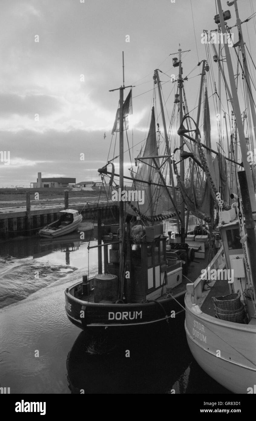 Bateau de pêche du crabe 1965 Dorum Banque D'Images