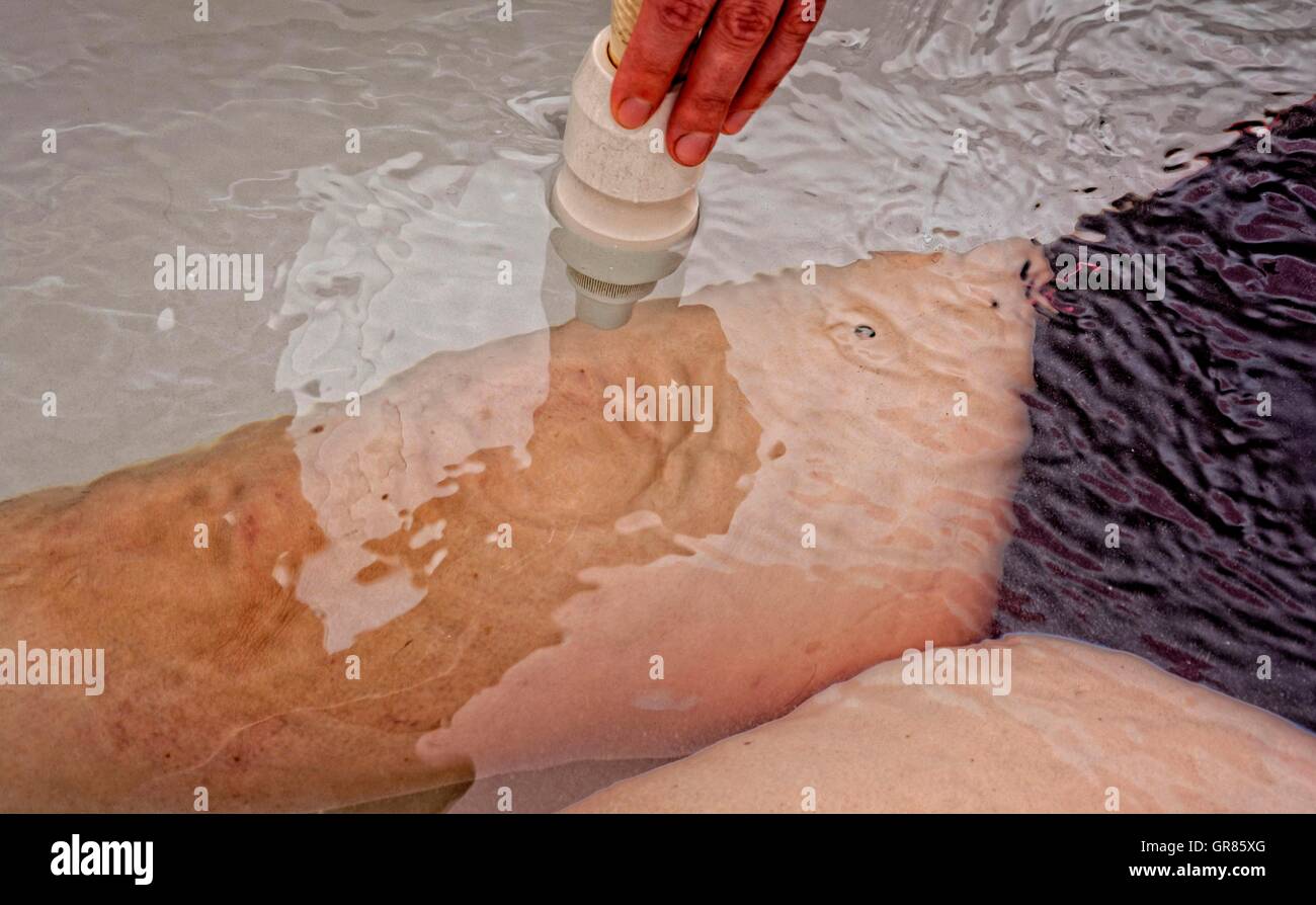 Tangentor, cuisses Massage sous l'eau avec un jet d'eau Banque D'Images