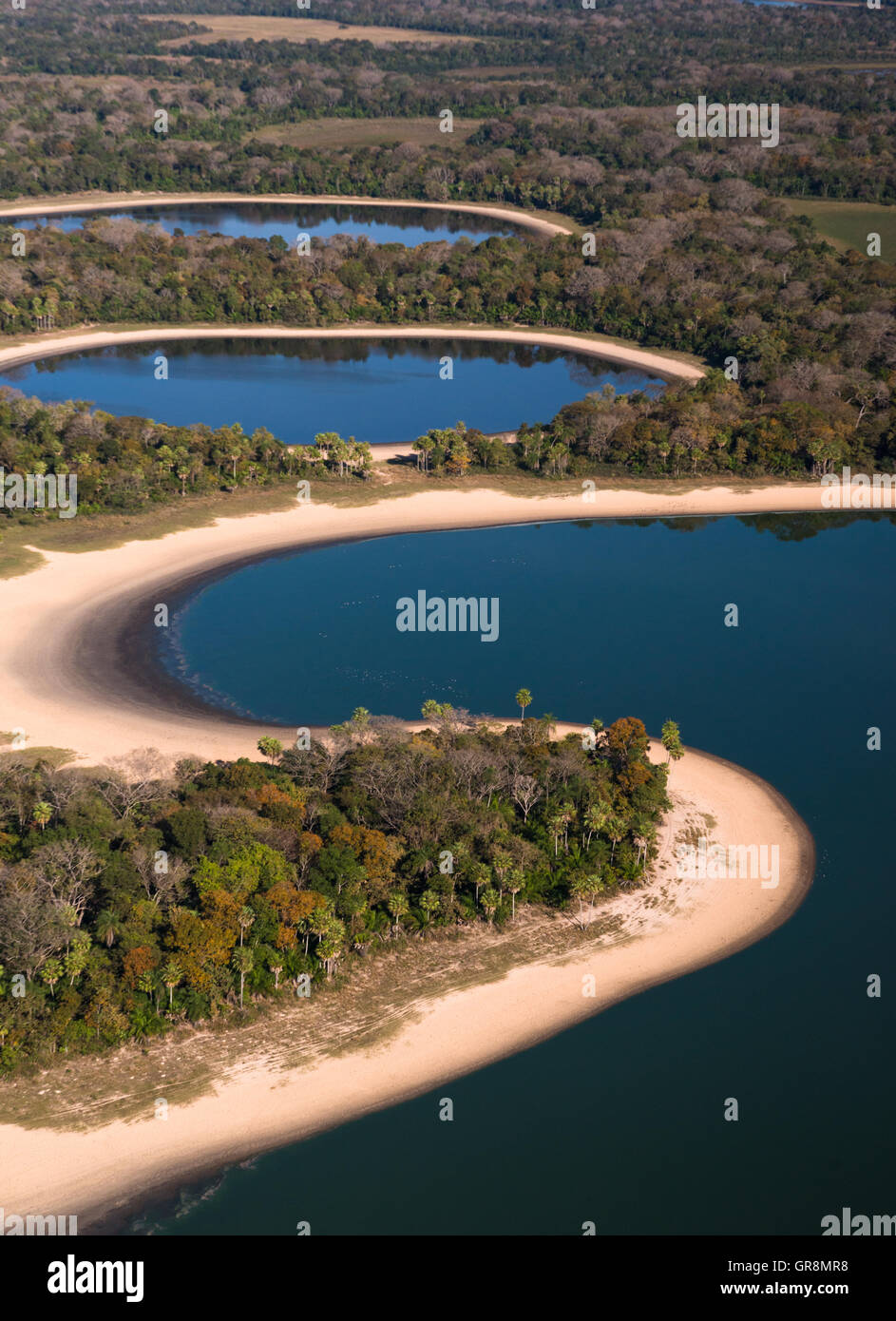 Série de lacs naturels en Sud Pantanal Banque D'Images