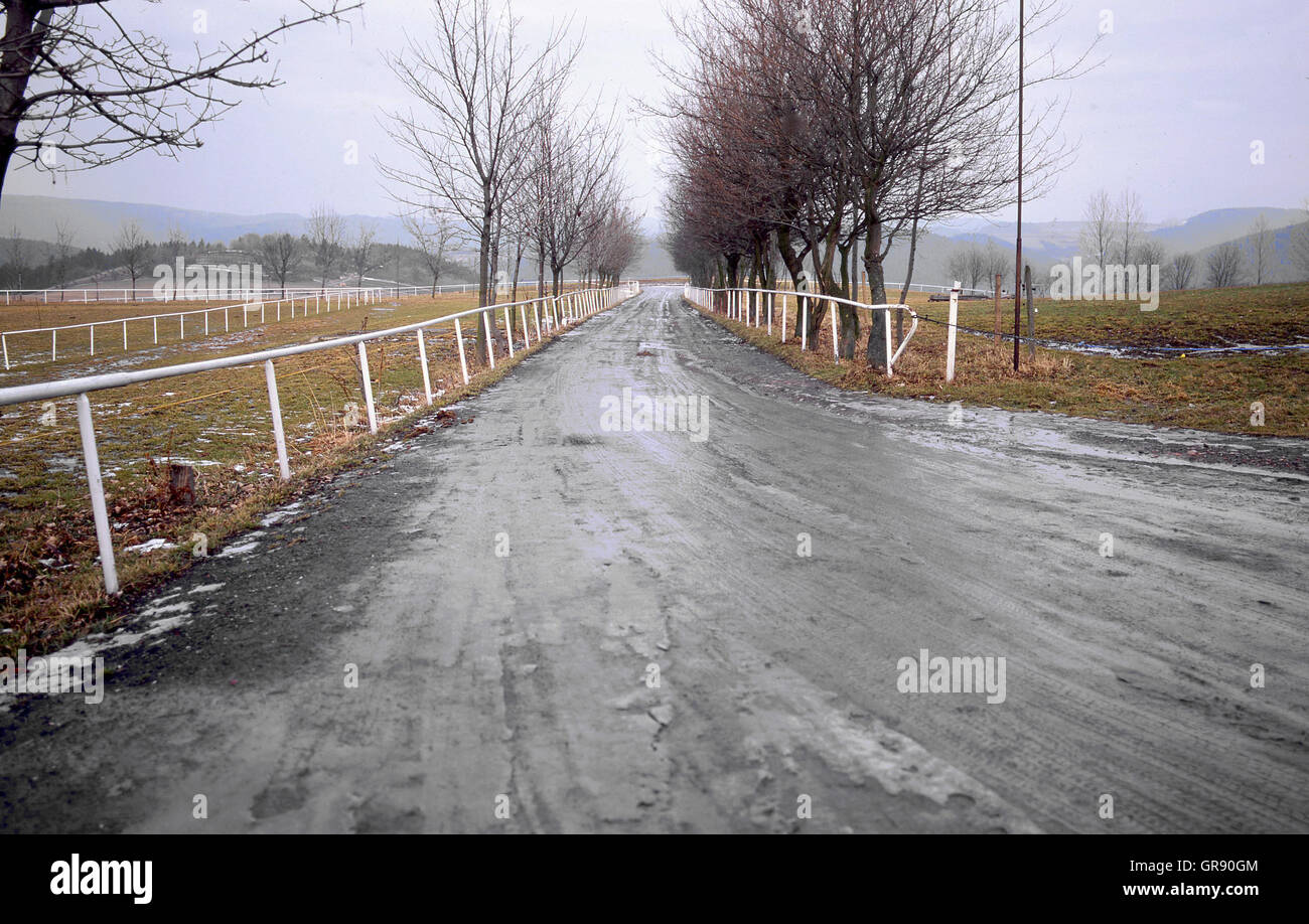 Route de terre à la fin de l'hiver en Thuringe Banque D'Images