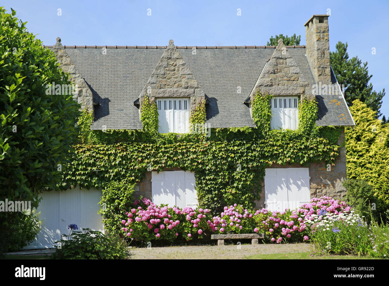 Envahi par la Chambre en Bretagne Pierre et vin Banque D'Images