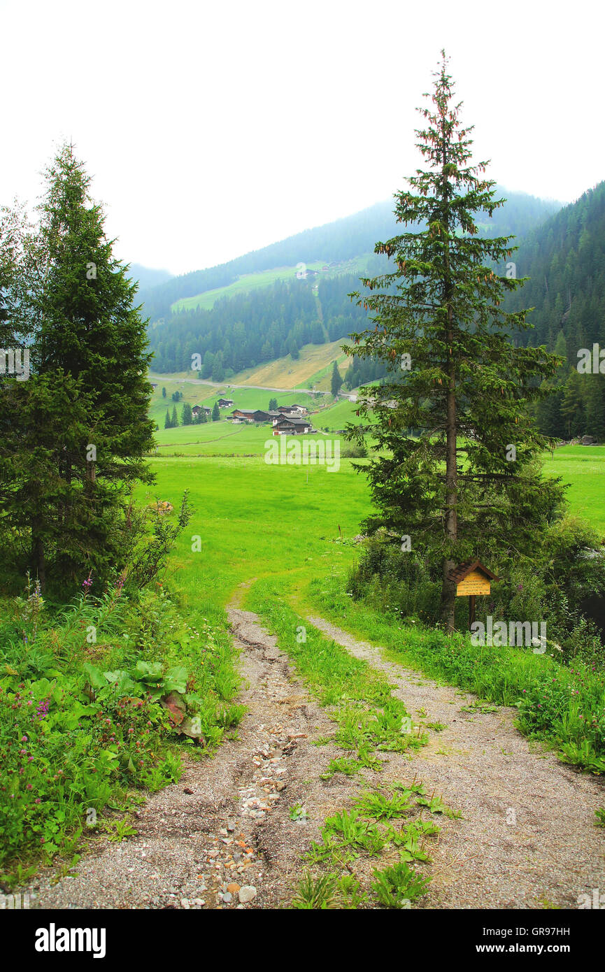 Bois, de prairies, et de maisons dans le Val d'Ultimo au Tyrol du Sud Banque D'Images