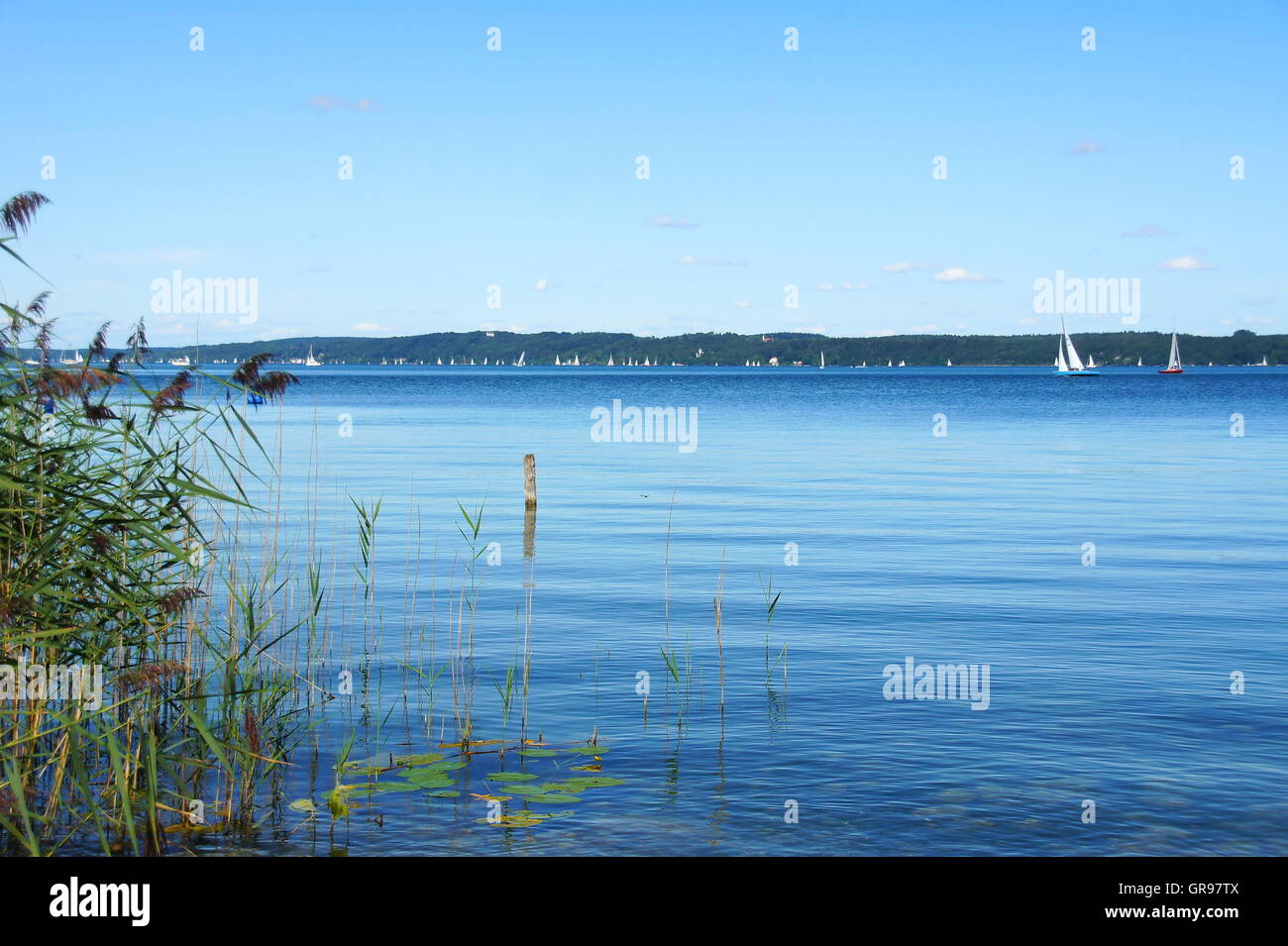 Le Lac de Starnberg près de 6e avec beaucoup de Blancs Voiliers Banque D'Images