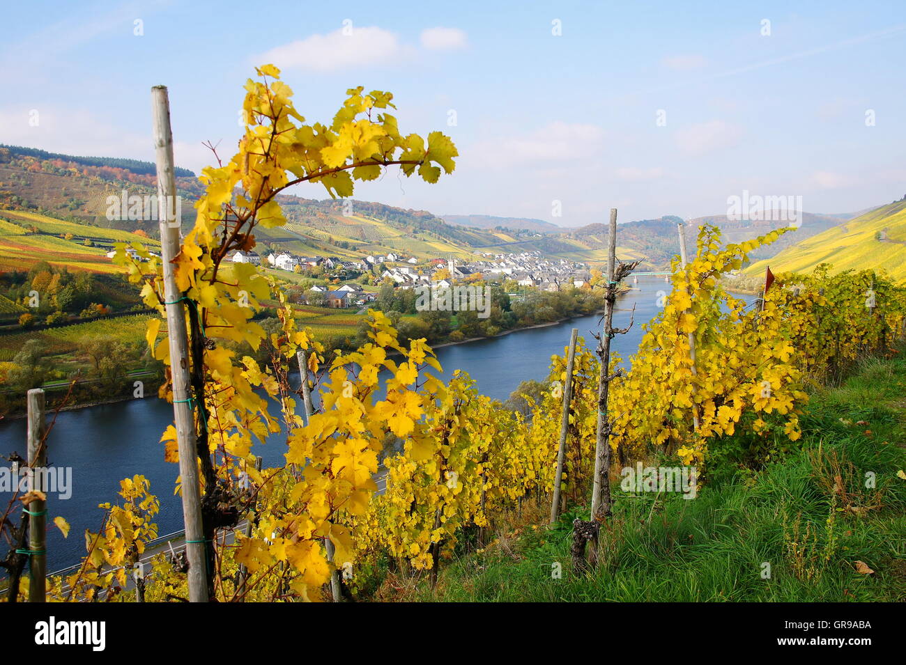 Village viticole, Reil sur la Moselle en automne Banque D'Images