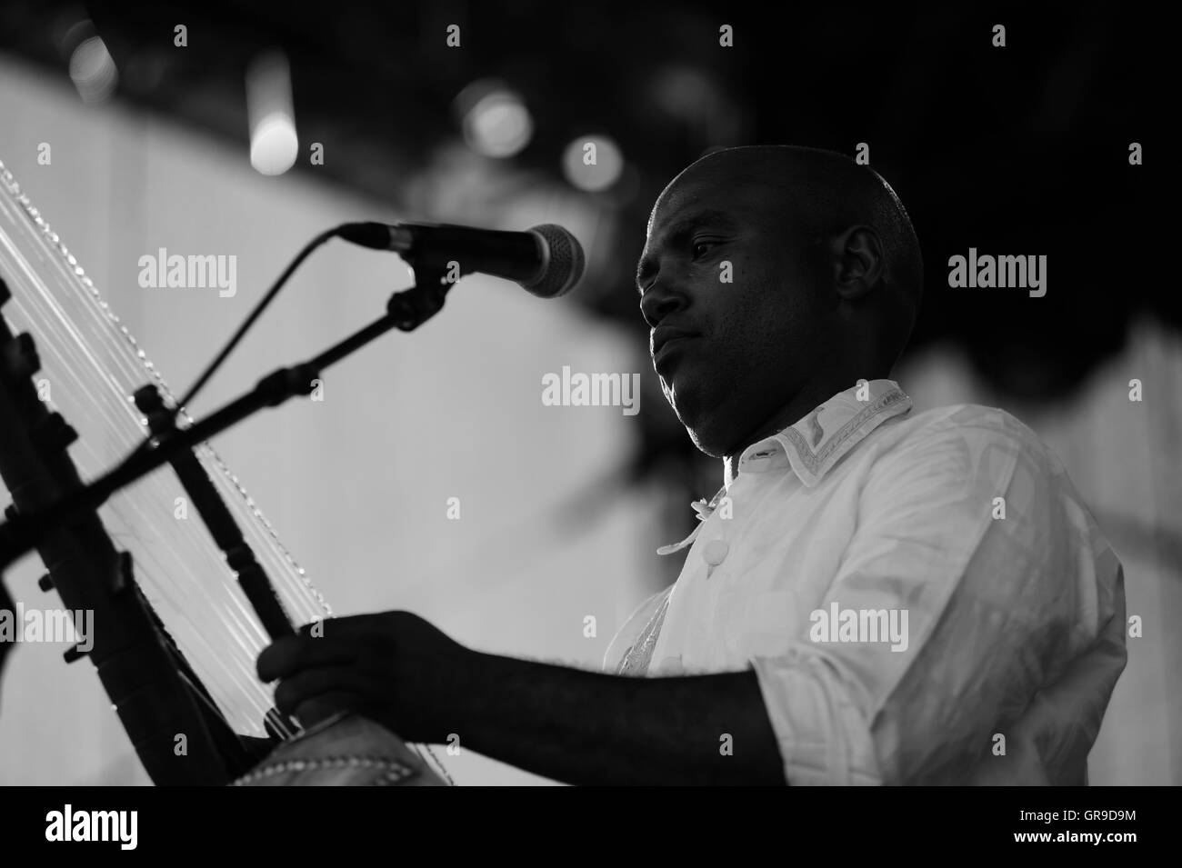 Pont de l'Afrique de l'Ouest, Kora harpe Banque D'Images