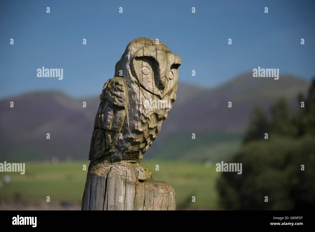 Hibou sculpté à la Keswick Lancer sur, Derwentwater, le Lake District, Cumbria, Royaume-Uni Banque D'Images