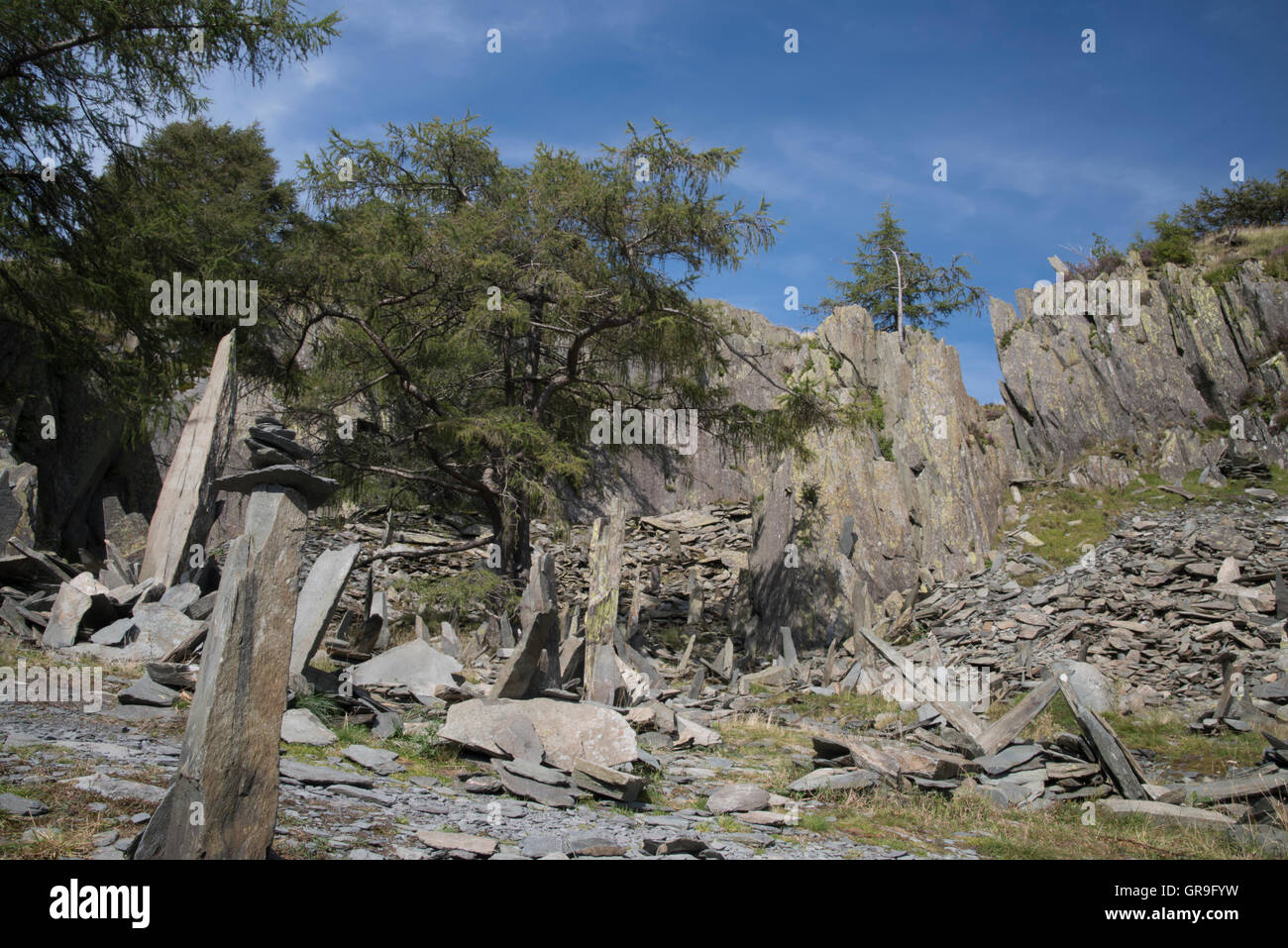 Castle Crag , North Western Fells, Lake District, Cumbria, Royaume-Uni Banque D'Images