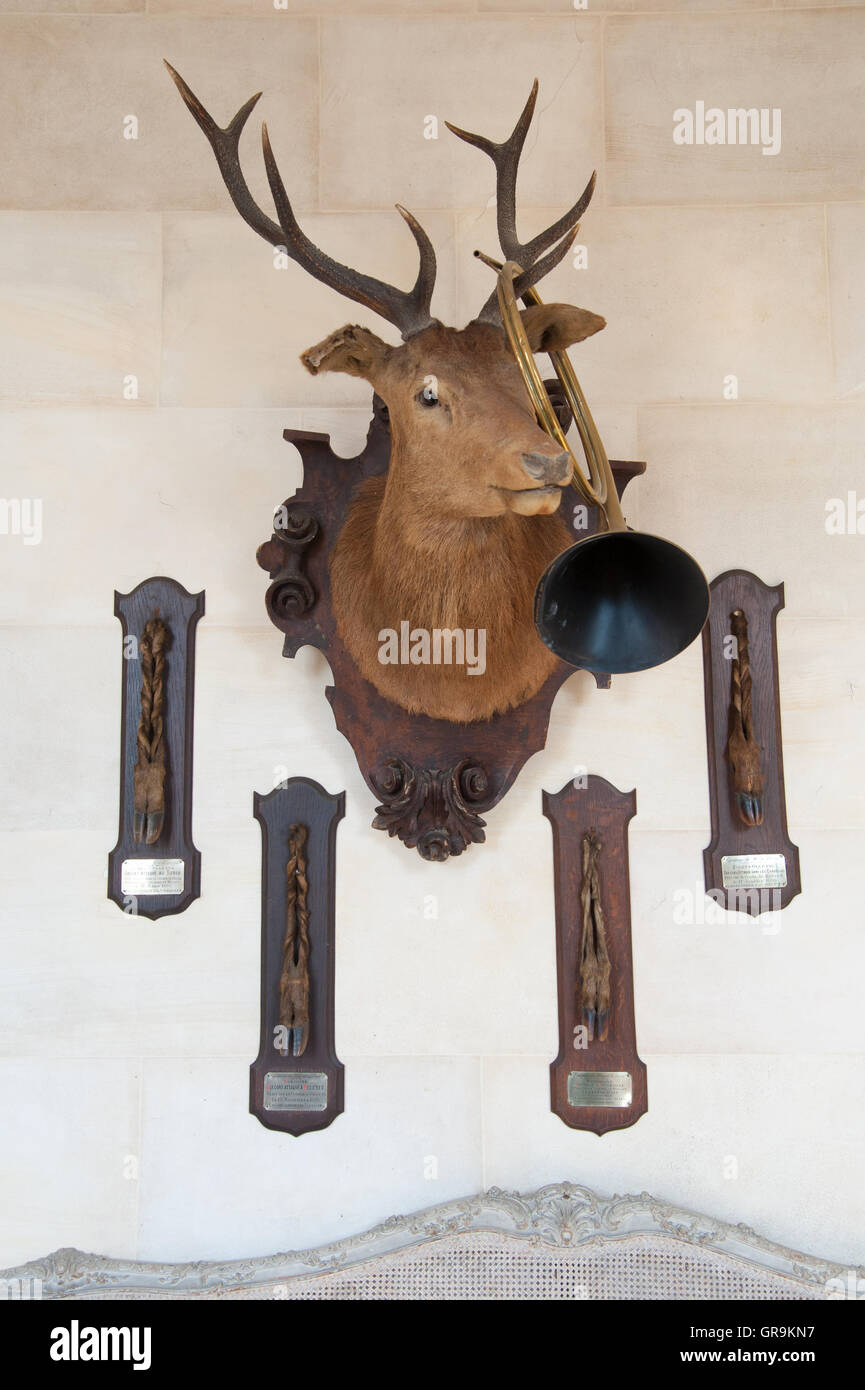 Rehbock farcies avec cor de chasse sur le mur Banque D'Images
