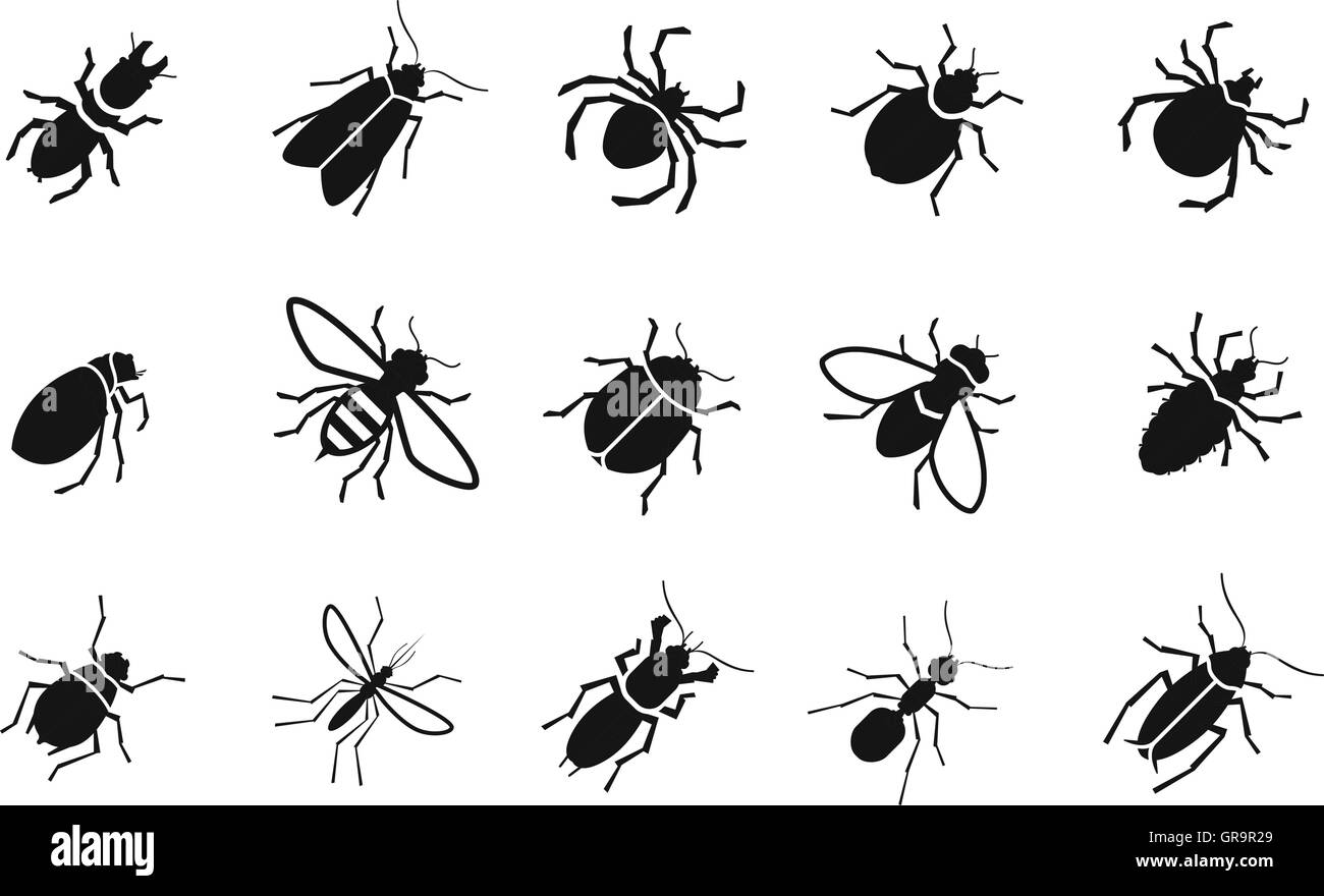 Divers insectes ravageurs et vector icons set Illustration de Vecteur