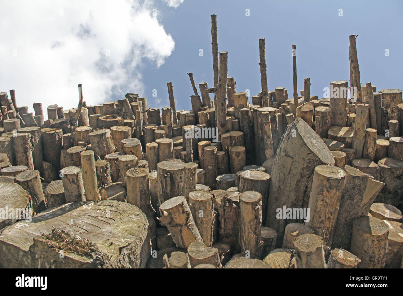 Pile de bois dans la région de Carinthie, Autriche Banque D'Images