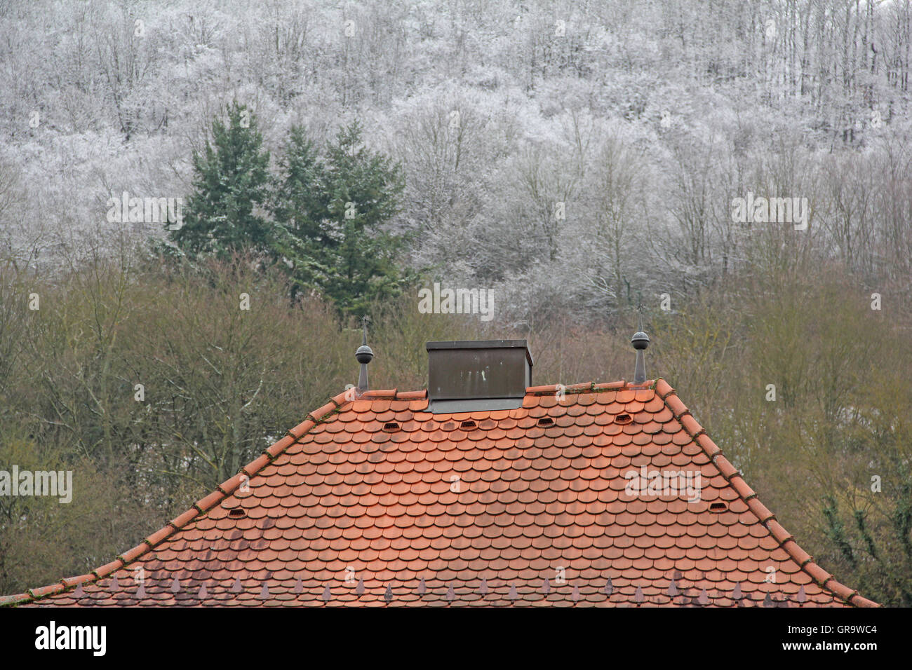 Toit rouge contre une colline en hiver avec de la neige dans la région de Zeil On Main Banque D'Images