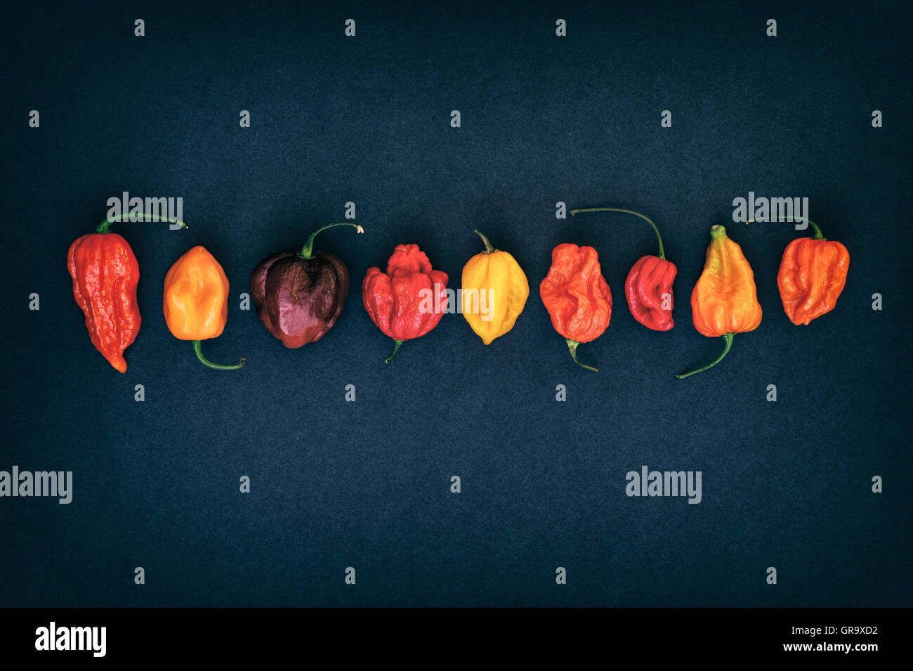 Hot Chillies sur fond sombre Banque D'Images