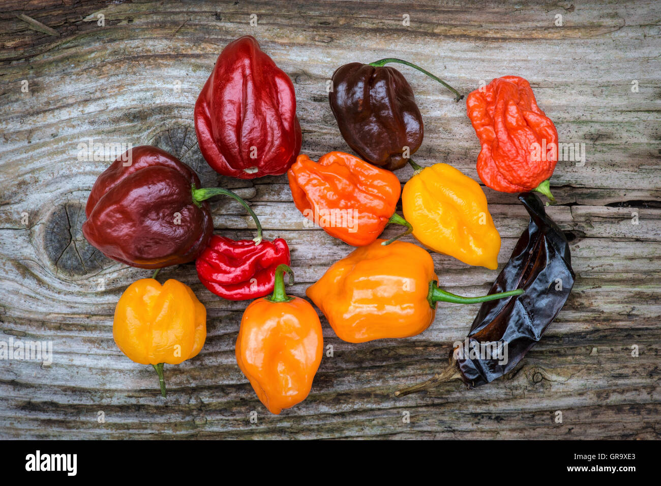 Hot Chillies sur un fond de bois texturé Banque D'Images