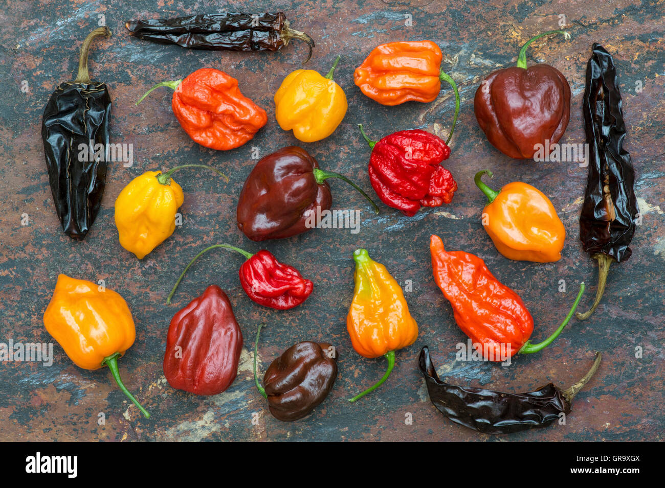 Hot Chillies sur un fond ardoise texturé Banque D'Images
