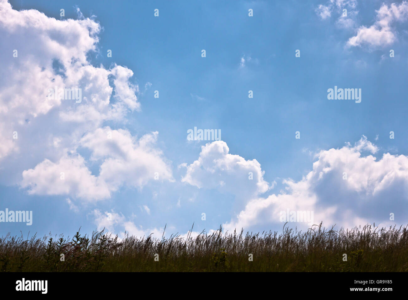 Au-delà l’Horizon Banque D'Images