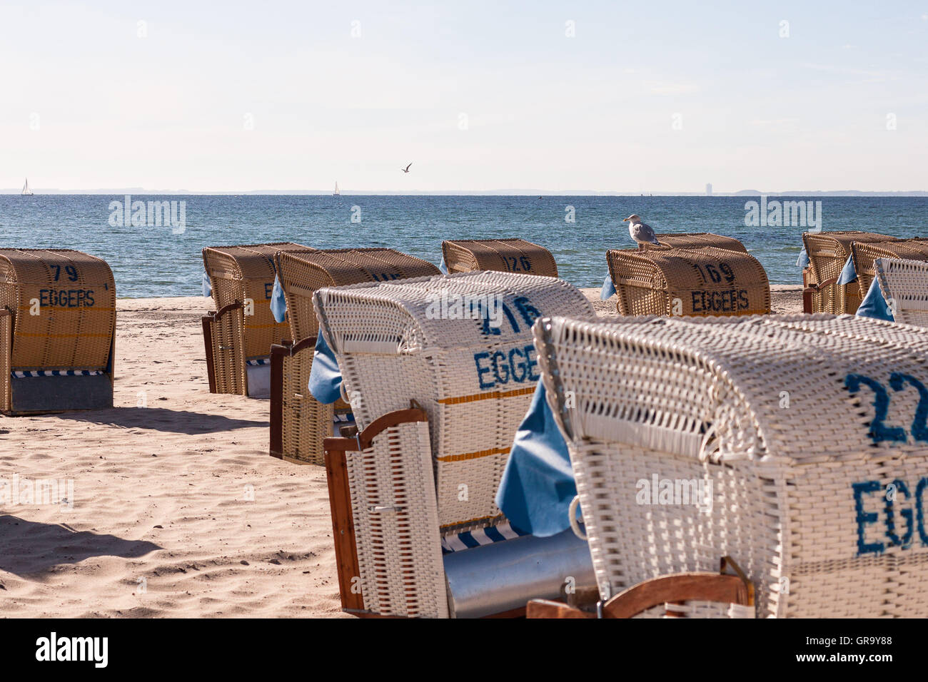Chaises de plage Banque D'Images