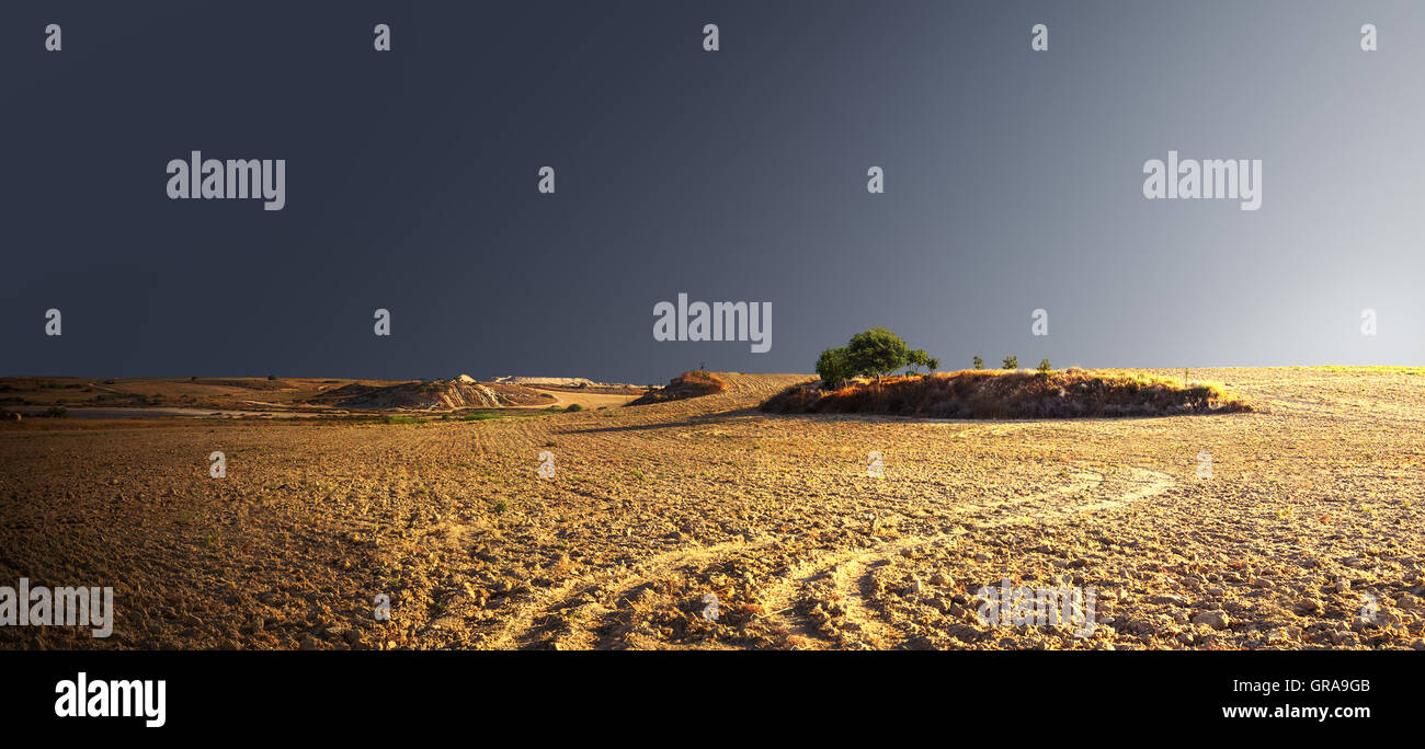 Paysage désertique avec des arbres sur la colline. Larnaca, Chypre. Banque D'Images