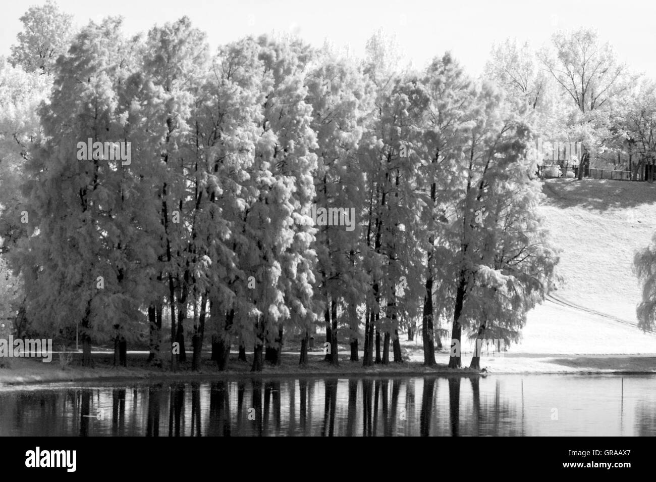 Paysage du Parc de la ville, la photographie infrarouge. Banque D'Images