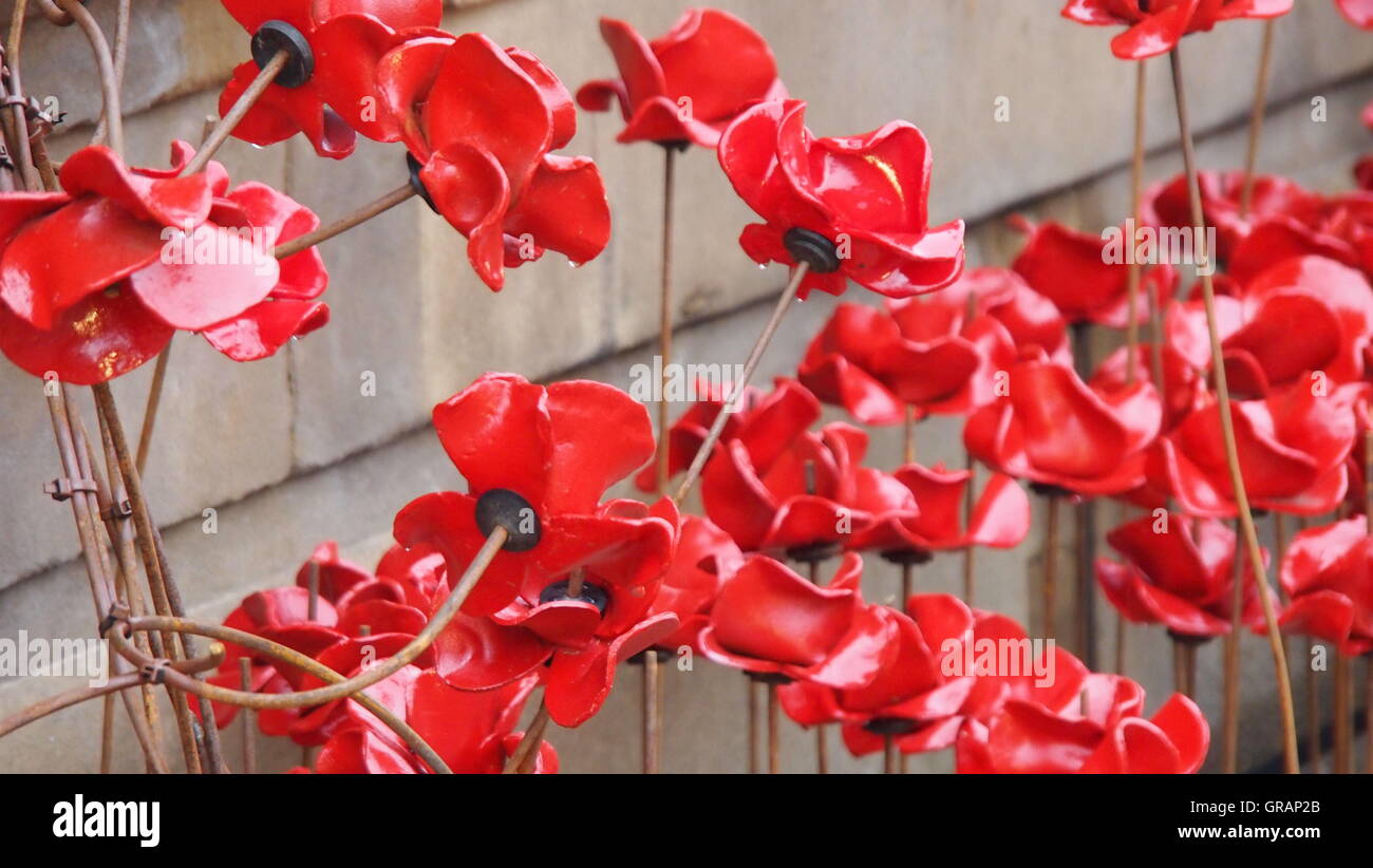 Portrait de fleurs de pavot artificiel fabriqué à partir de la Céramique  Photo Stock - Alamy