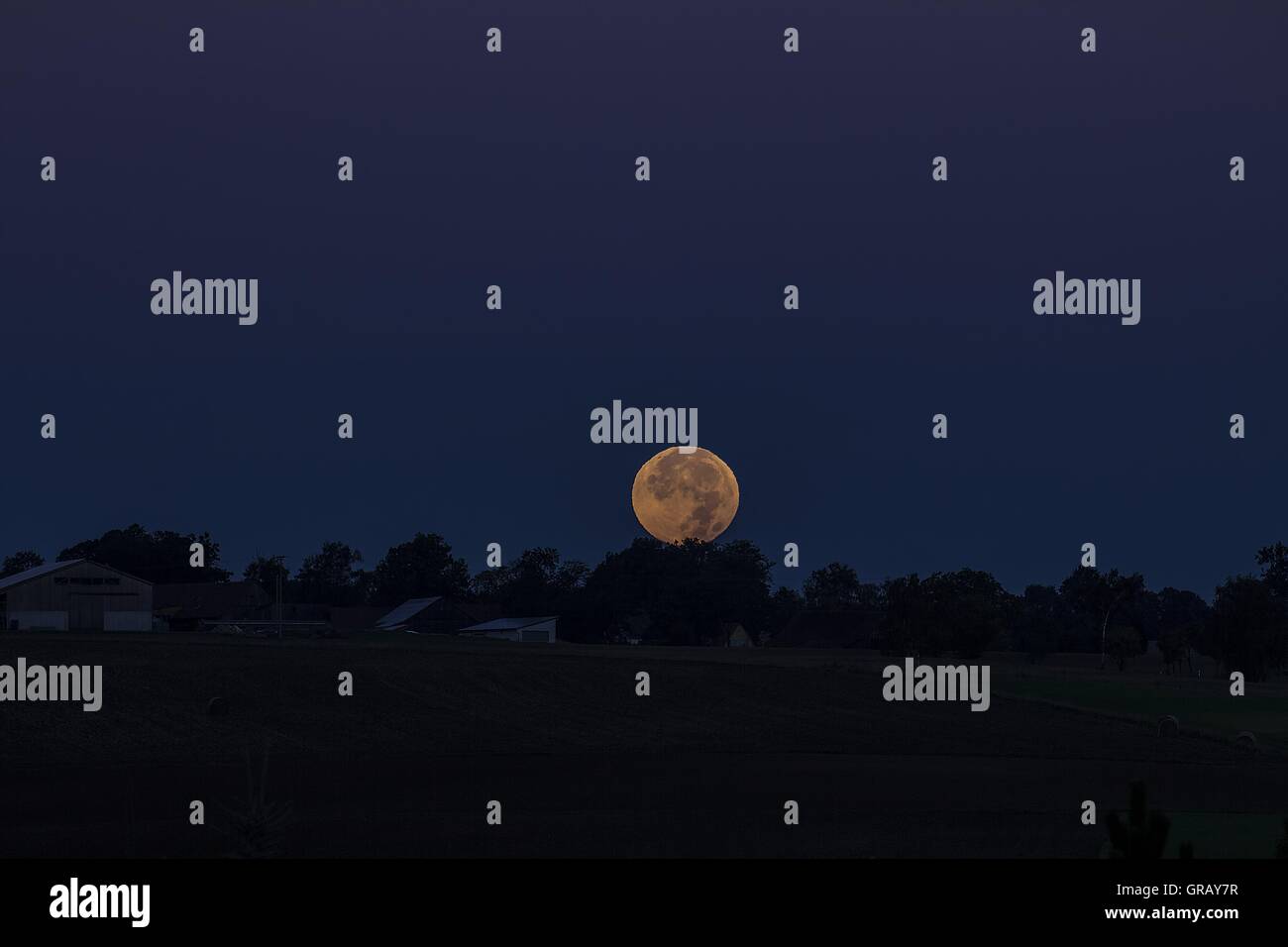 Super La lune derrière les arbres sombres sur 09282015 Fer à Repasser à vent, Haute-Franconie, Bavière, Allemagne Banque D'Images