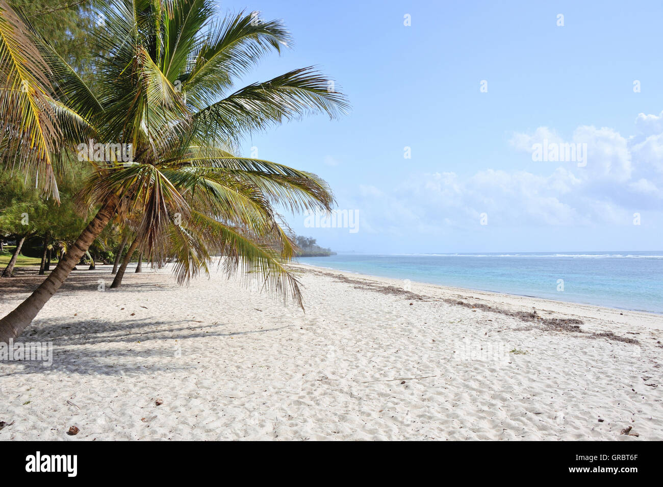 Grande plage avec des palmiers à l'Océan Indien Banque D'Images