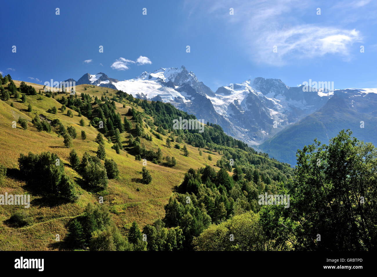 Paysage alpin avec de vertes collines et montagnes aux sommets enneigés, Alpes, France Banque D'Images