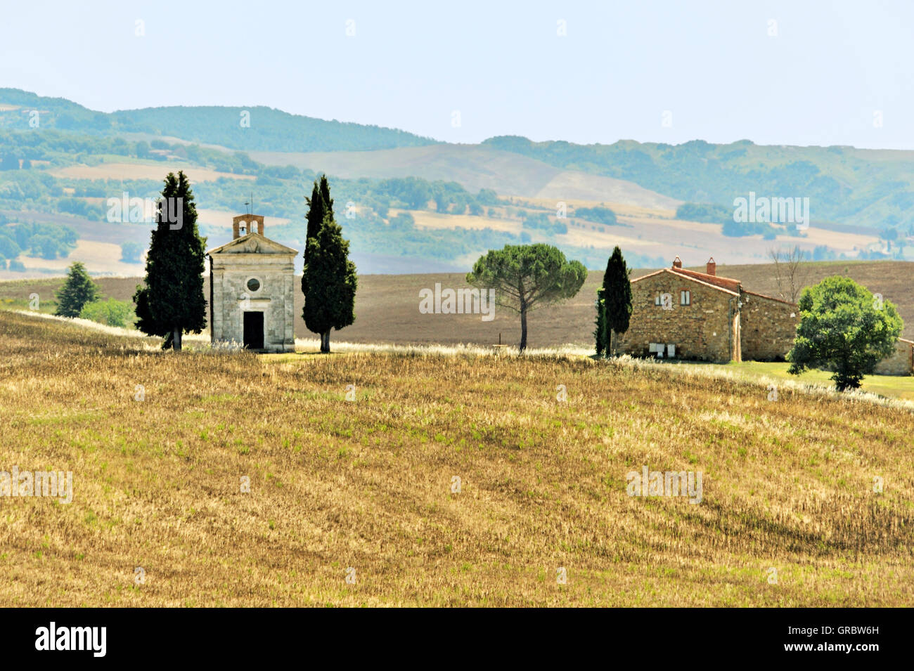 Ancienne petite chapelle entre cyprès sur champs Toscane, Toscane, Italie Banque D'Images